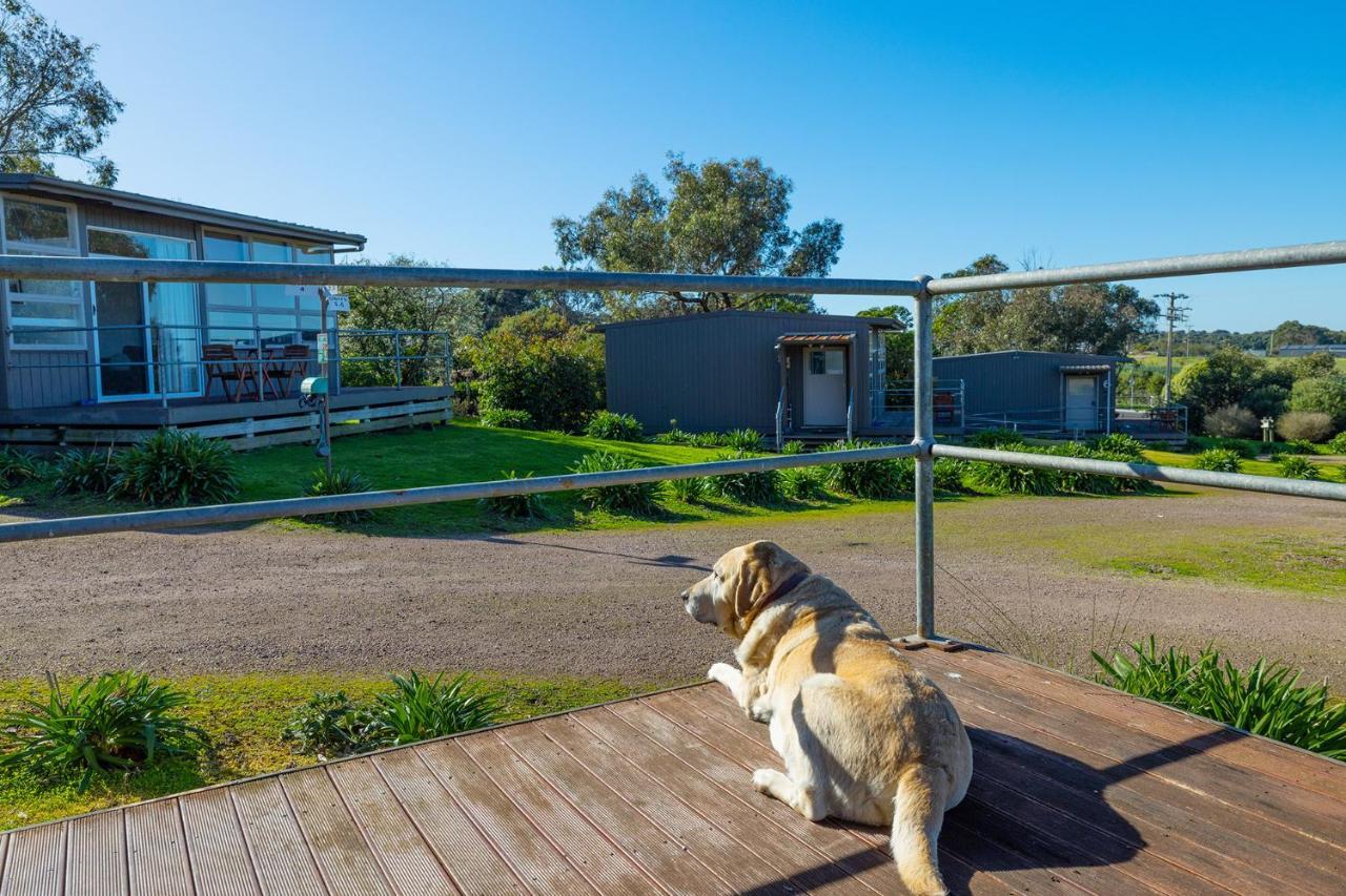 Apartament Harmony At Tower Hill Koroit Zewnętrze zdjęcie