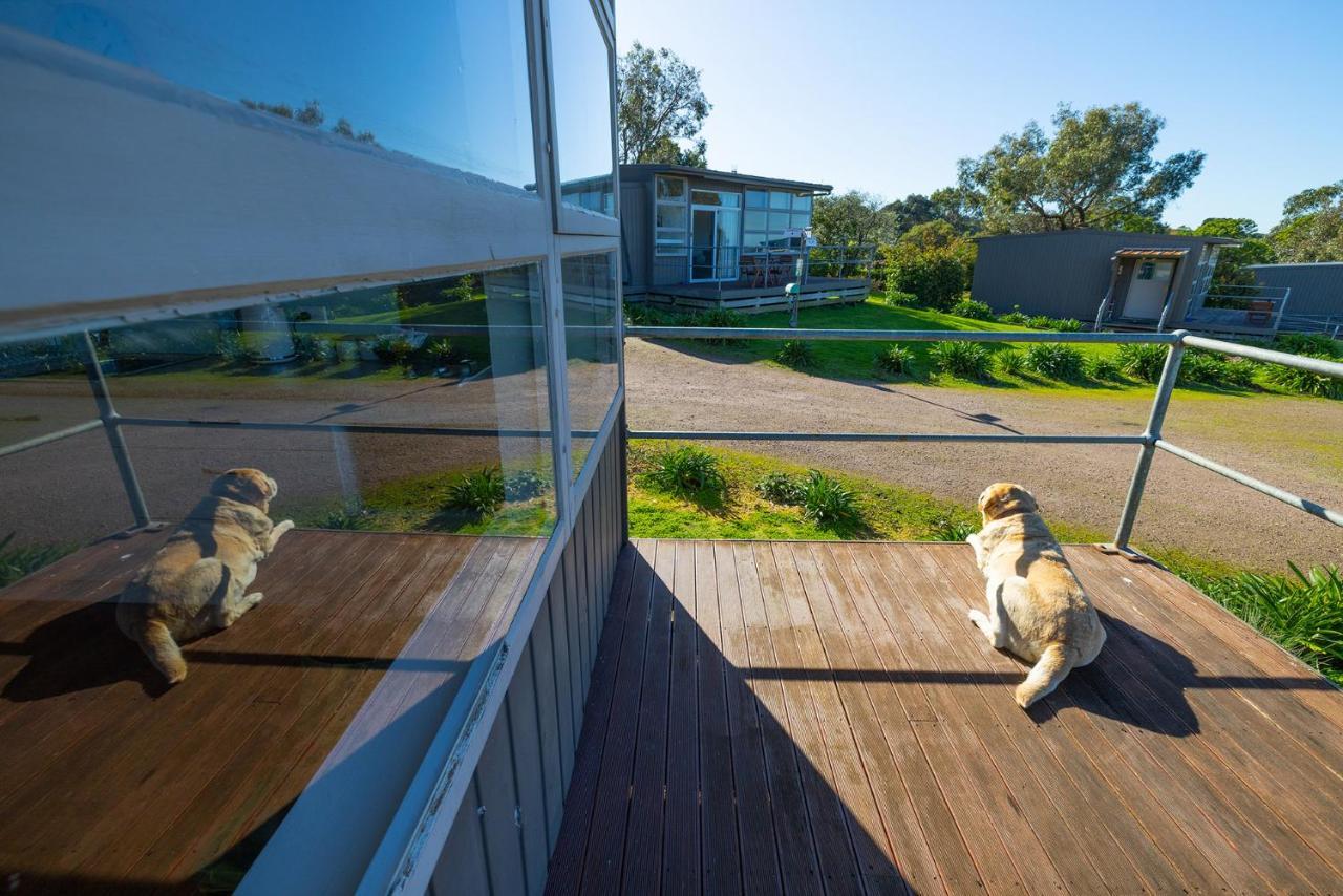 Apartament Harmony At Tower Hill Koroit Zewnętrze zdjęcie