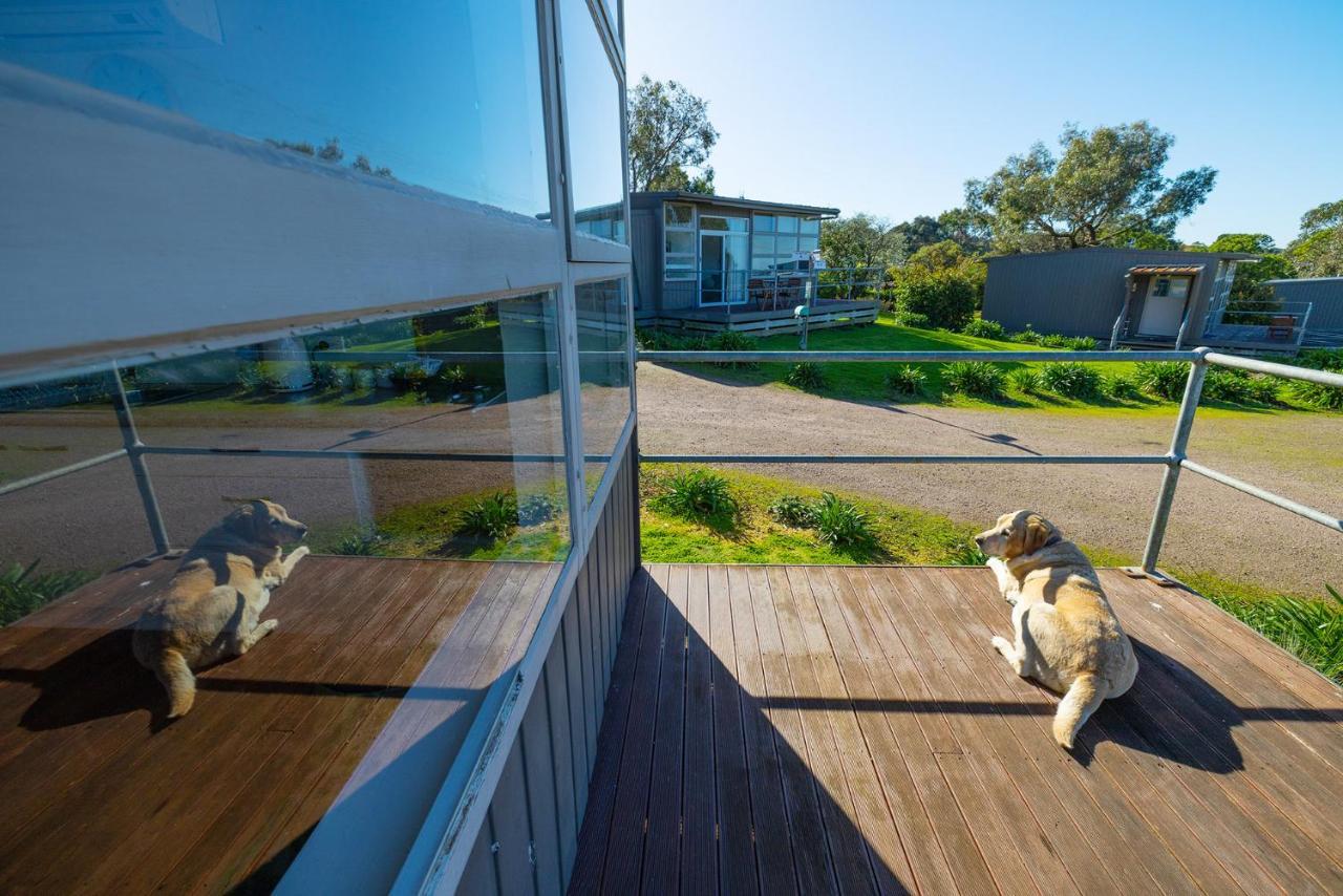 Apartament Harmony At Tower Hill Koroit Zewnętrze zdjęcie